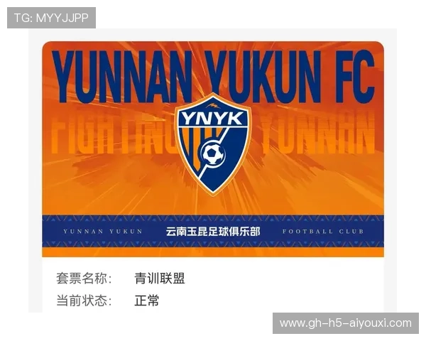 云南玉昆队强势崛起，转会市场引援连连